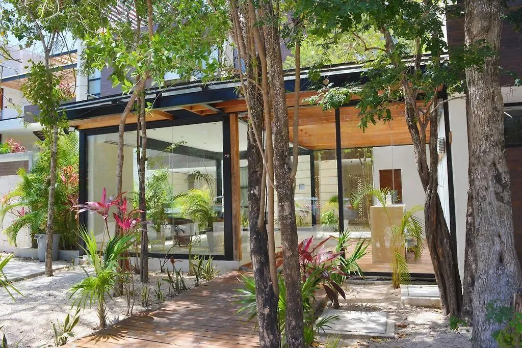 Appartement Exclusive, Spacious, Comfy 3 Bedroom Ph With Pool! Tulum Pueblo